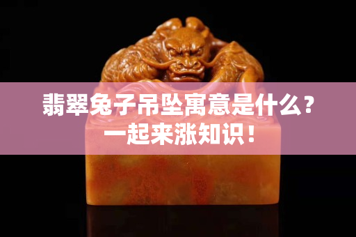 翡翠兔子吊坠寓意是什么？一起来涨知识！