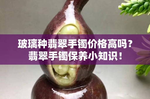 玻璃种翡翠手镯价格高吗？翡翠手镯保养小知识！