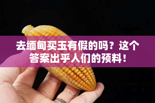 去缅甸买玉有假的吗？这个答案出乎人们的预料！