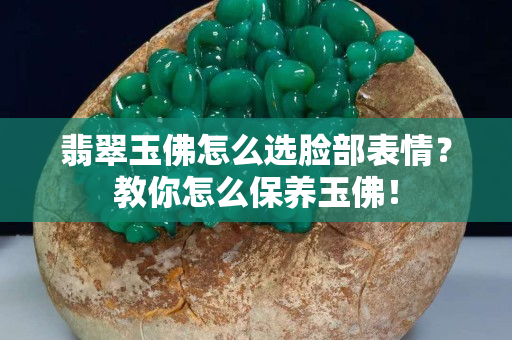 翡翠玉佛怎么选脸部表情？教你怎么保养玉佛！