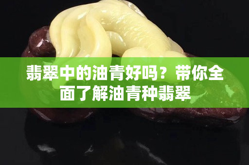 翡翠中的油青好吗？带你全面了解油青种翡翠