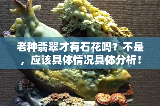 老种翡翠才有石花吗？不是，应该具体情况具体分析！