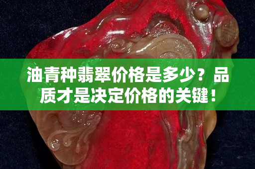油青种翡翠价格是多少？品质才是决定价格的关键！
