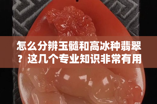 怎么分辨玉髓和高冰种翡翠？这几个专业知识非常有用！