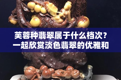 芙蓉种翡翠属于什么档次？一起欣赏淡色翡翠的优雅和明净