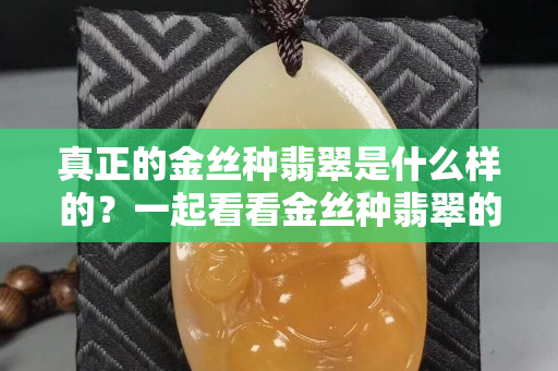 真正的金丝种翡翠是什么样的？一起看看金丝种翡翠的真面目