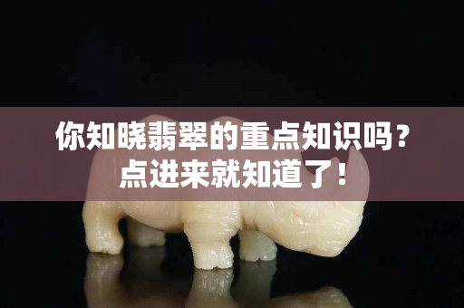 你知晓翡翠的重点知识吗？点进来就知道了！