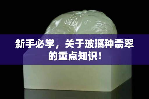 新手必学，关于玻璃种翡翠的重点知识！