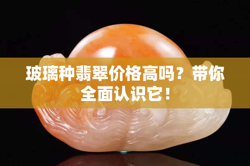 玻璃种翡翠价格高吗？带你全面认识它！