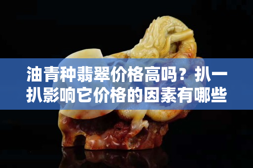 油青种翡翠价格高吗？扒一扒影响它价格的因素有哪些！