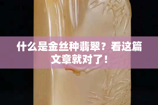 什么是金丝种翡翠？看这篇文章就对了！