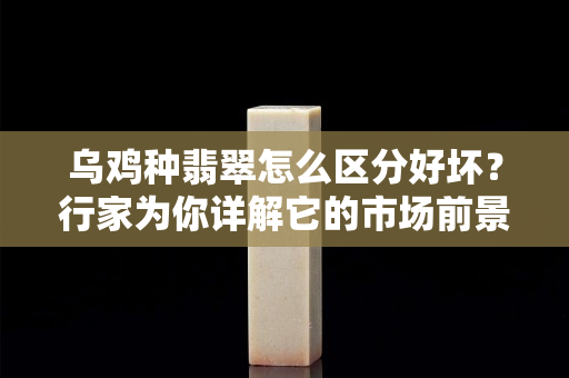 乌鸡种翡翠怎么区分好坏？行家为你详解它的市场前景！