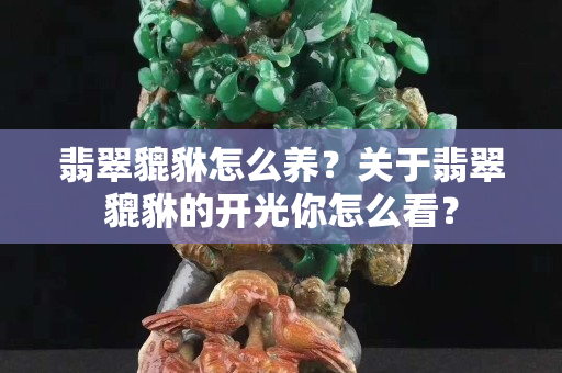 翡翠貔貅怎么养？关于翡翠貔貅的开光你怎么看？