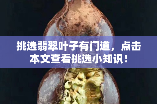 挑选翡翠叶子有门道，点击本文查看挑选小知识！