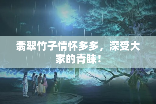 翡翠竹子情怀多多，深受大家的青睐！