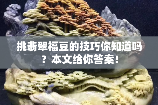 挑翡翠福豆的技巧你知道吗？本文给你答案！