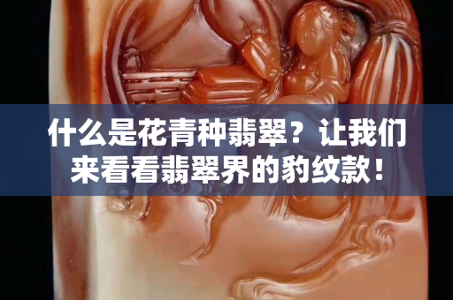 什么是花青种翡翠？让我们来看看翡翠界的豹纹款！