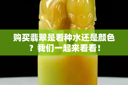 购买翡翠是看种水还是颜色？我们一起来看看！