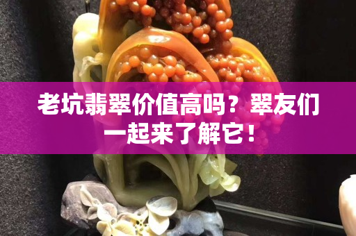 老坑翡翠价值高吗？翠友们一起来了解它！