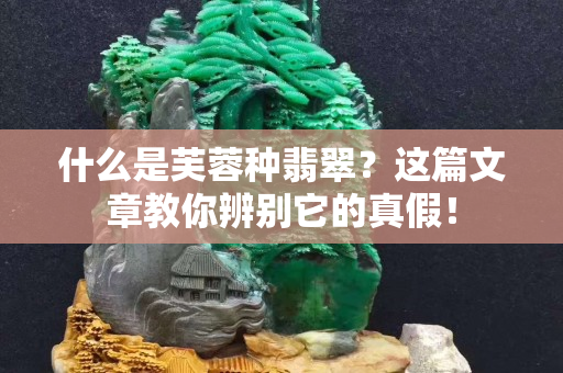 什么是芙蓉种翡翠？这篇文章教你辨别它的真假！