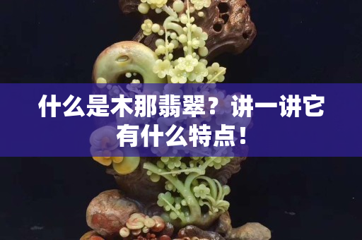 什么是木那翡翠？讲一讲它有什么特点！