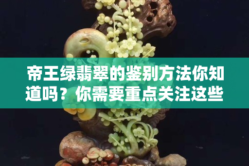 帝王绿翡翠的鉴别方法你知道吗？你需要重点关注这些因素！