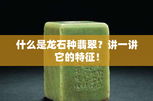 什么是龙石种翡翠？讲一讲它的特征！