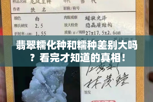 翡翠糯化种和糯种差别大吗？看完才知道的真相！