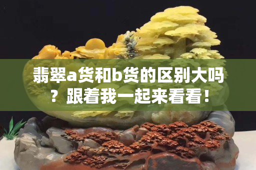 翡翠a货和b货的区别大吗？跟着我一起来看看！