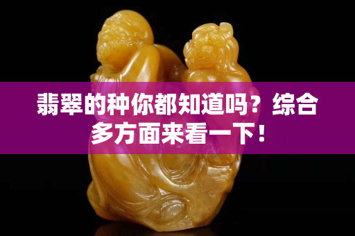 翡翠的种你都知道吗？综合多方面来看一下！
