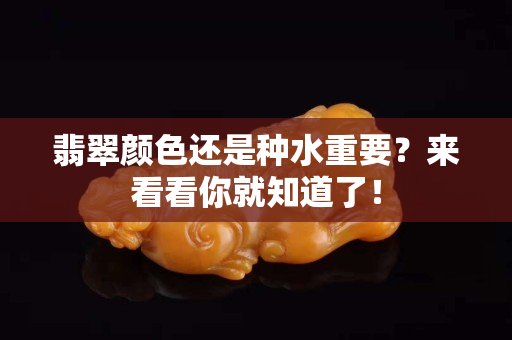 翡翠颜色还是种水重要？来看看你就知道了！
