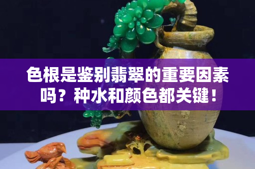 色根是鉴别翡翠的重要因素吗？种水和颜色都关键！