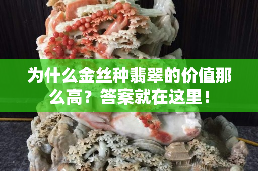 为什么金丝种翡翠的价值那么高？答案就在这里！