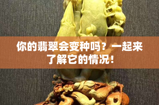 你的翡翠会变种吗？一起来了解它的情况！