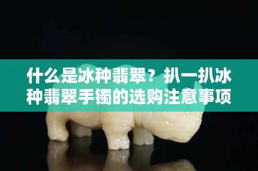 什么是冰种翡翠？扒一扒冰种翡翠手镯的选购注意事项！
