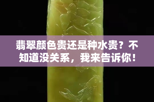 翡翠颜色贵还是种水贵？不知道没关系，我来告诉你！