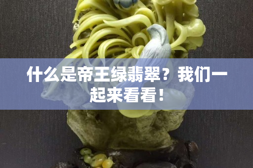什么是帝王绿翡翠？我们一起来看看！