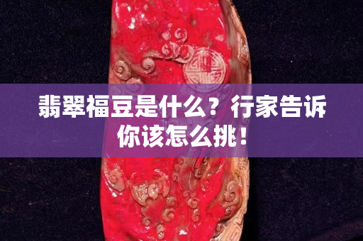翡翠福豆是什么？行家告诉你该怎么挑！
