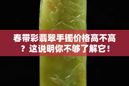 春带彩翡翠手镯价格高不高？这说明你不够了解它！