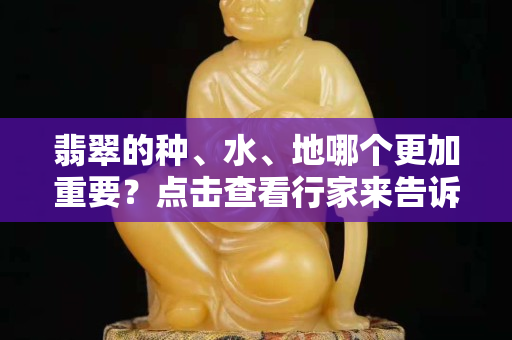翡翠的种、水、地哪个更加重要？点击查看行家来告诉你！