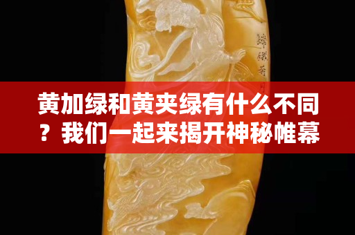 黄加绿和黄夹绿有什么不同？我们一起来揭开神秘帷幕！