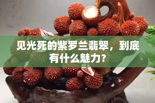 见光死的紫罗兰翡翠，到底有什么魅力？