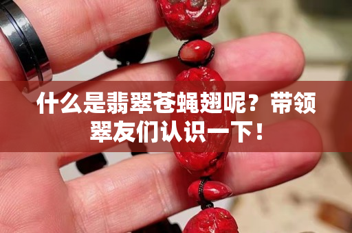 什么是翡翠苍蝇翅呢？带领翠友们认识一下！