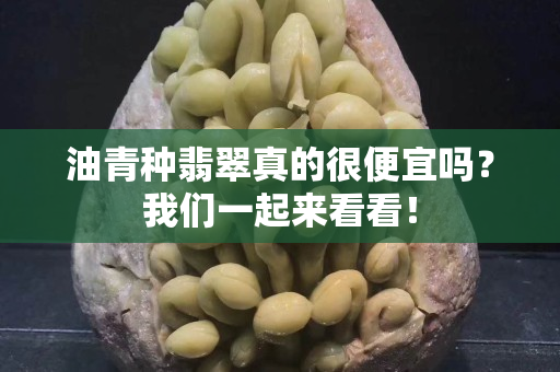 油青种翡翠真的很便宜吗？我们一起来看看！