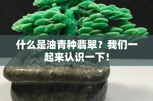 什么是油青种翡翠？我们一起来认识一下！