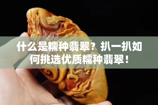 什么是糯种翡翠？扒一扒如何挑选优质糯种翡翠！