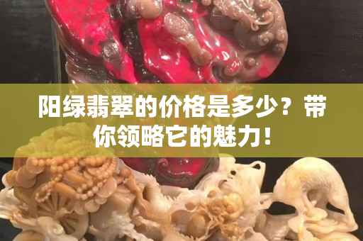 阳绿翡翠的价格是多少？带你领略它的魅力！