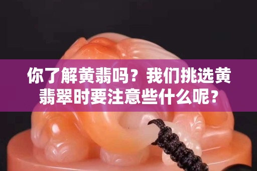 你了解黄翡吗？我们挑选黄翡翠时要注意些什么呢？