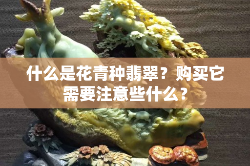 什么是花青种翡翠？购买它需要注意些什么？