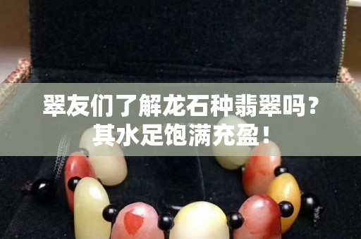 翠友们了解龙石种翡翠吗？其水足饱满充盈！